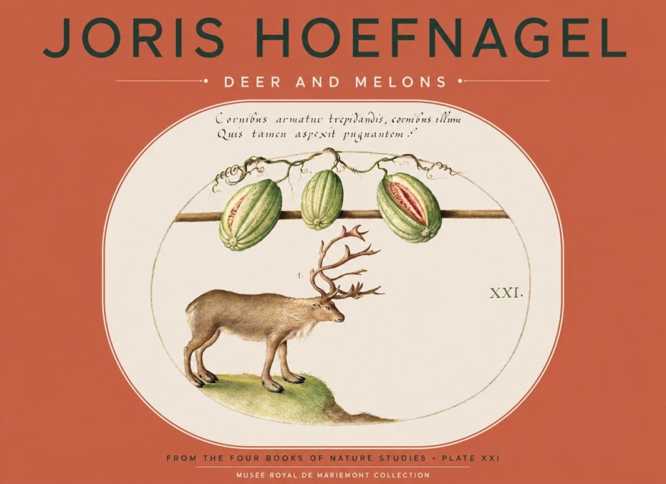 Joris Hoefnagel Arctic Nature Study No5 - Póster