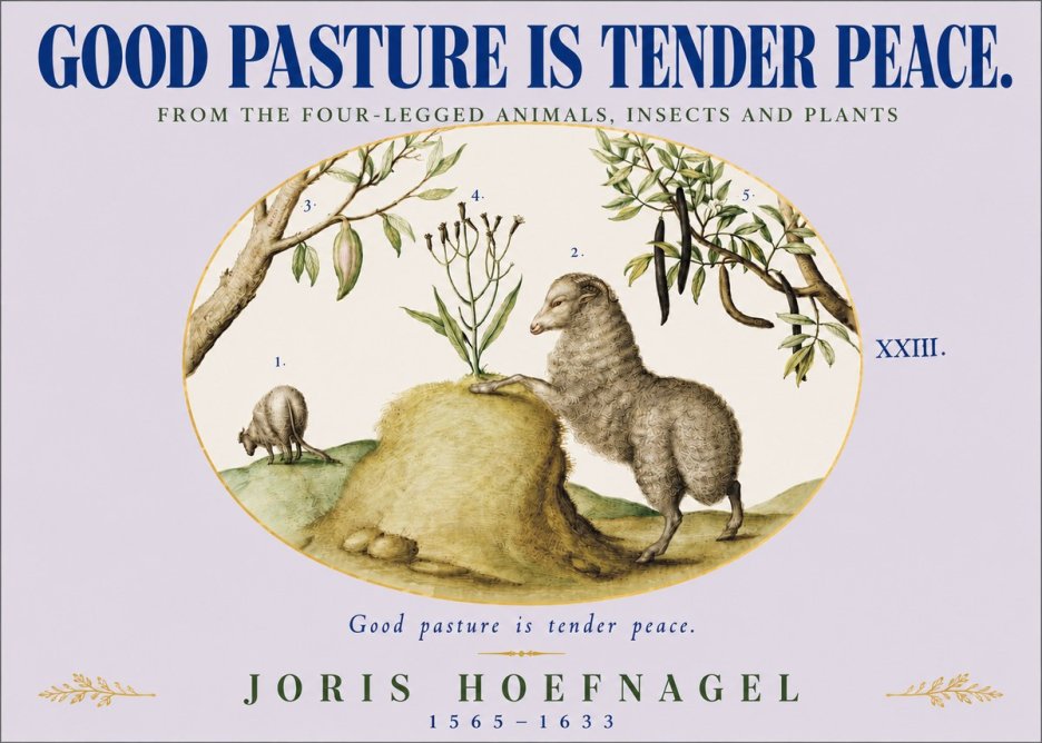 Joris Hoefnagel Good Pasture Is Tender Peace. No4 - Póster
