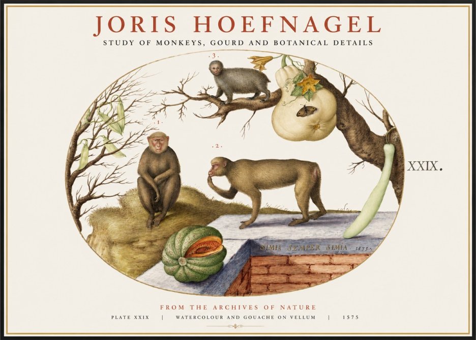 Joris Hoefnagel But Always a Monkey, Always a Monkey. Plate Xxix No2 - Póster