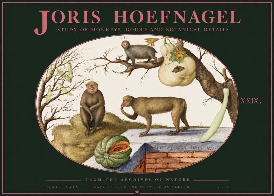 Joris Hoefnagel But Always a Monkey, Always a Monkey. Plate Xxix No3 - Póster