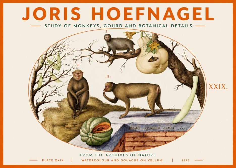 Joris Hoefnagel But Always a Monkey, Always a Monkey. Plate Xxix No4 - Póster