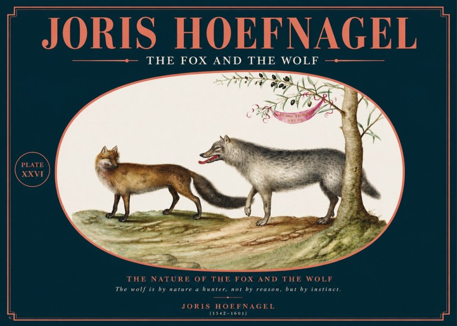 Joris Hoefnagel The Fox and the Wolf No2 - Póster