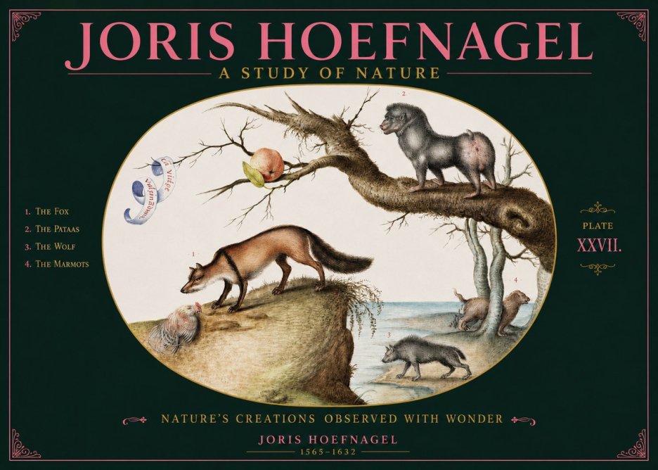 Joris Hoefnagel A Study of Nature - Plate Xxvii No2 - Póster