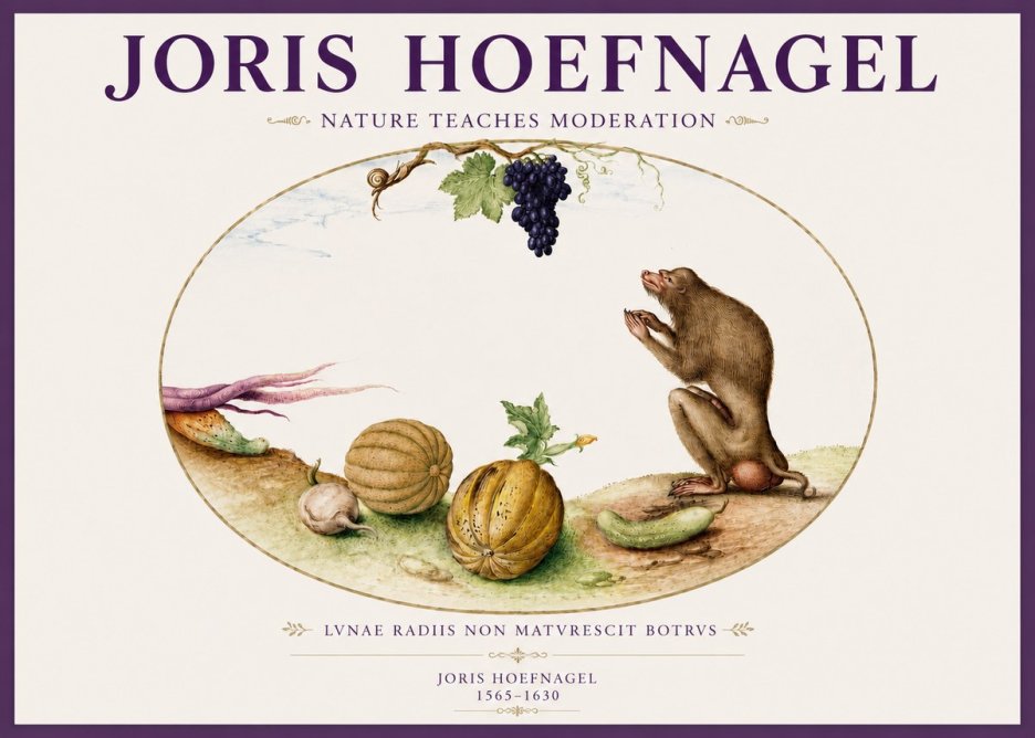 Joris Hoefnagel Nature Teaches Moderation No3 - Póster