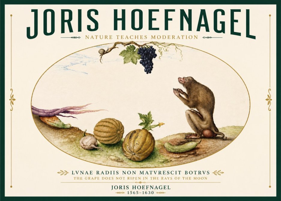 Joris Hoefnagel Nature Teaches Moderation No6 - Póster