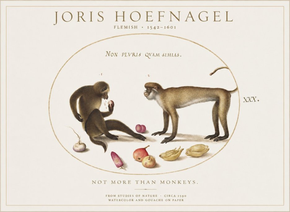 Joris Hoefnagel Not More Than Monkeys No1 - Póster