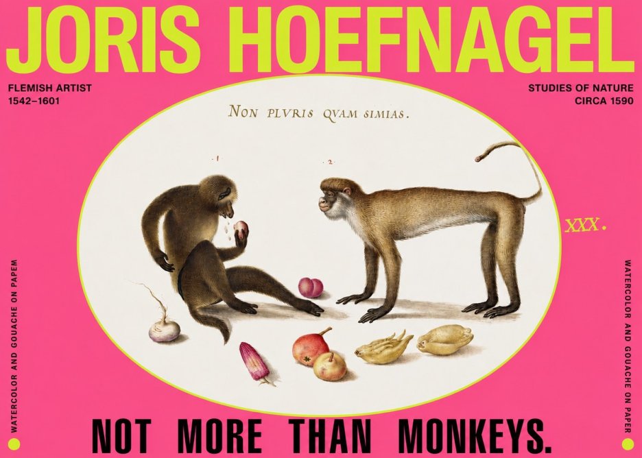 Joris Hoefnagel Not More Than Monkeys No2 - Póster