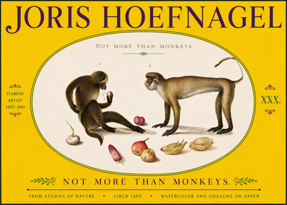 Joris Hoefnagel Not More Than Monkeys No5 - Póster