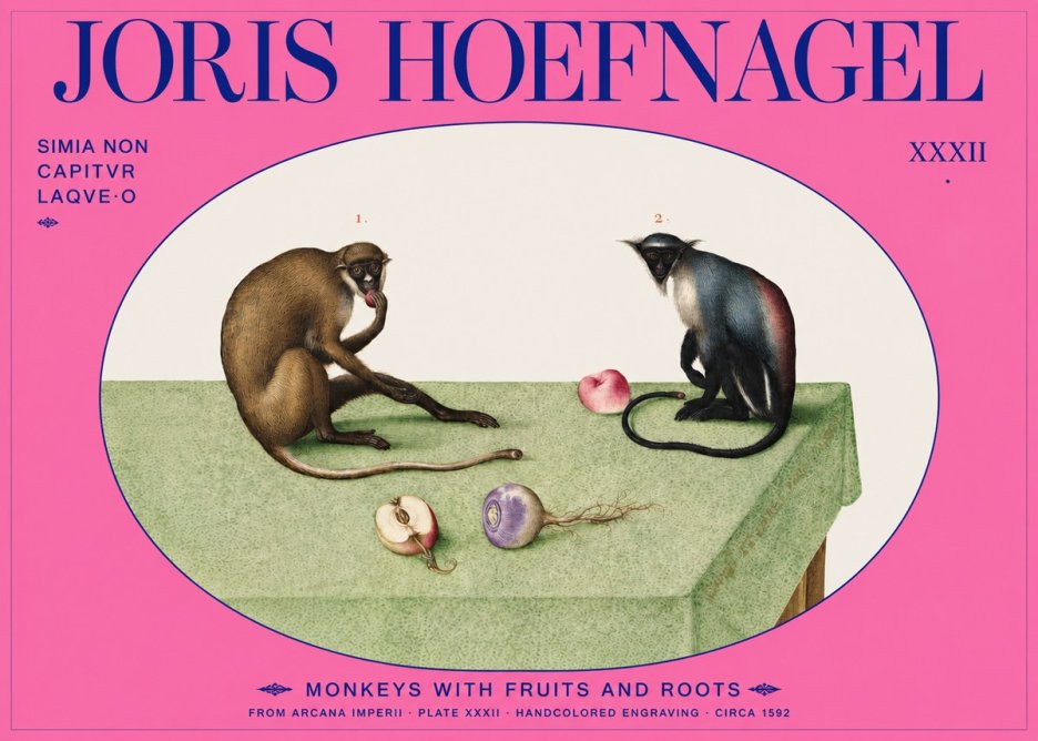 Joris Hoefnagel Monkeys with Fruits and Roots No2 - Póster