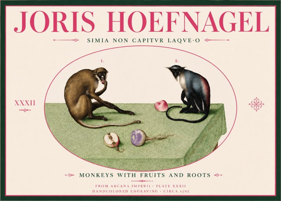 Joris Hoefnagel Monkeys with Fruits and Roots No6 - Póster