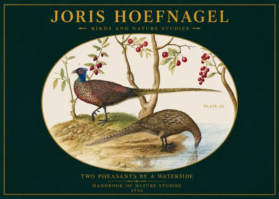 Joris Hoefnagel Peacocks and Pheasants Among Fruiting Branches No3 - Póster