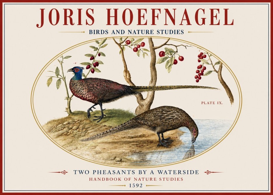 Joris Hoefnagel Peacocks and Pheasants Among Fruiting Branches No4 - Póster