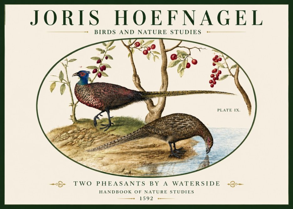Joris Hoefnagel Peacocks and Pheasants Among Fruiting Branches No5 - Póster
