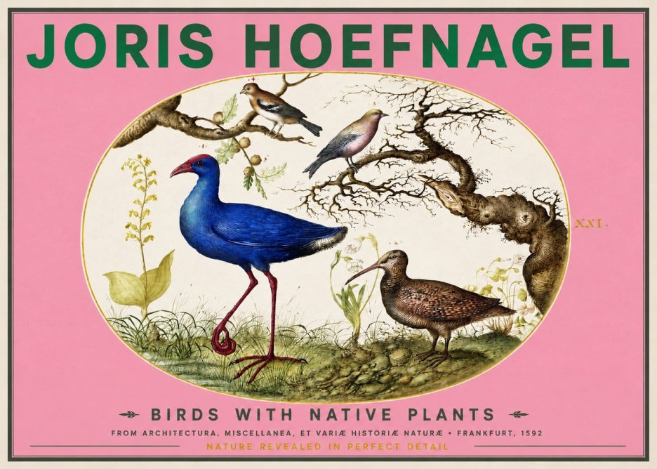 Joris Hoefnagel Birds with Native Plants No2 - Póster