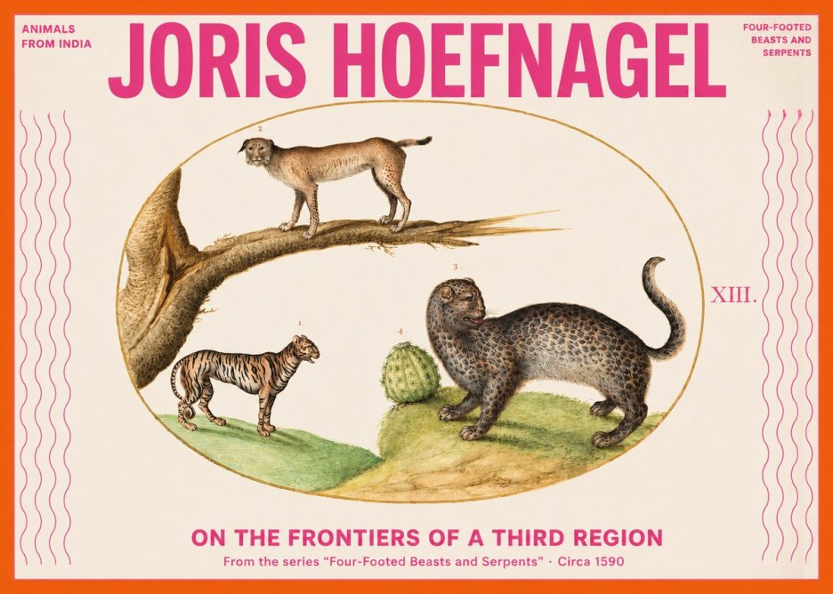 Joris Hoefnagel Four Beasts No3 - Póster