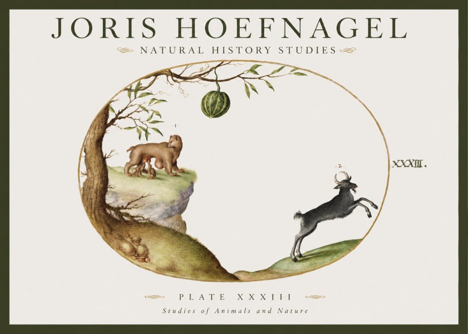Joris Hoefnagel Plate Xxxiii No1 - Póster