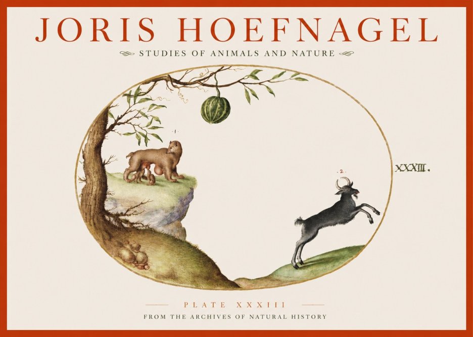 Joris Hoefnagel Plate Xxxiii No2 - Póster