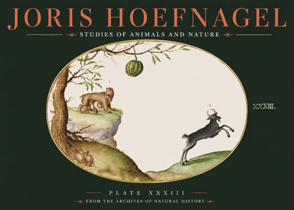 Joris Hoefnagel Plate Xxxiii No4 - Póster