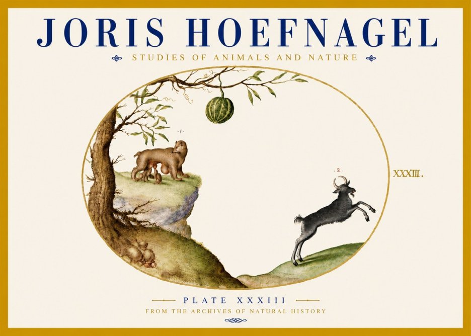 Joris Hoefnagel Plate Xxxiii No5 - Póster