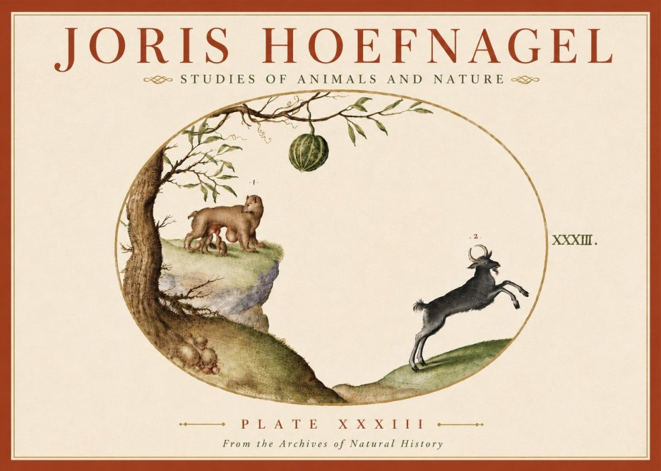 Joris Hoefnagel Plate Xxxiii No6 - Póster
