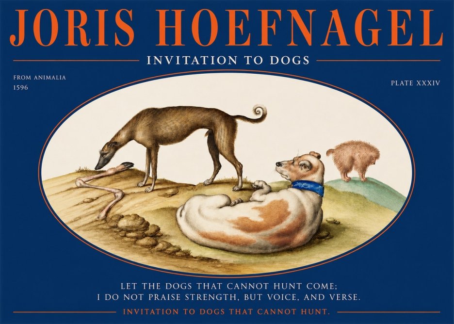 Joris Hoefnagel Invitation to Dogs No2 - Póster