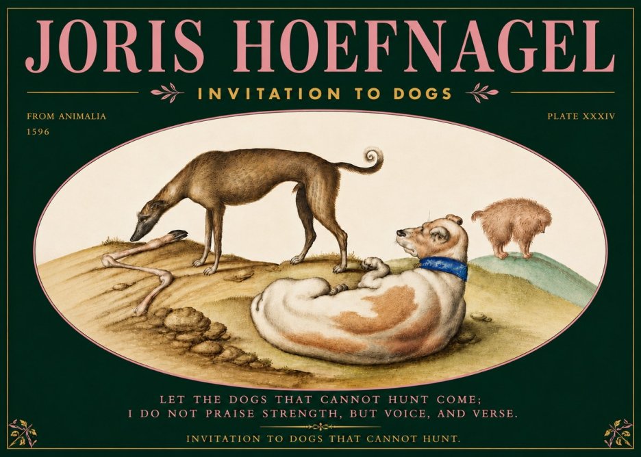 Joris Hoefnagel Invitation to Dogs No5 - Póster