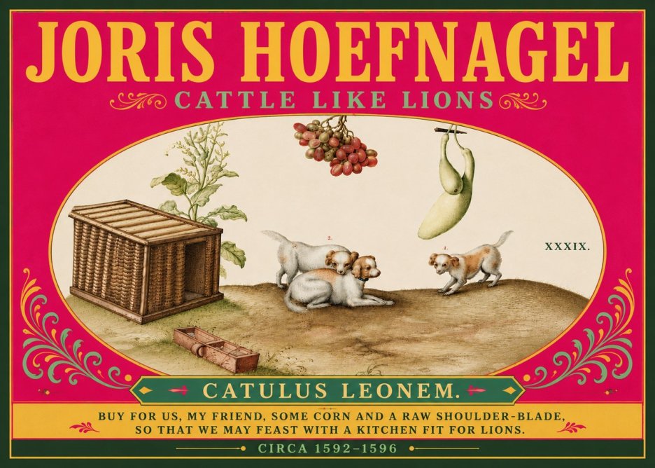 Joris Hoefnagel Cattle Like Lions No6 - Póster