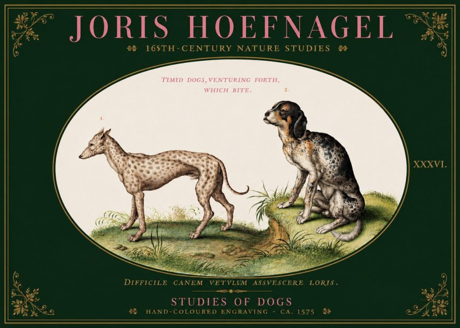 Joris Hoefnagel Studies of Dogs No3 - Póster