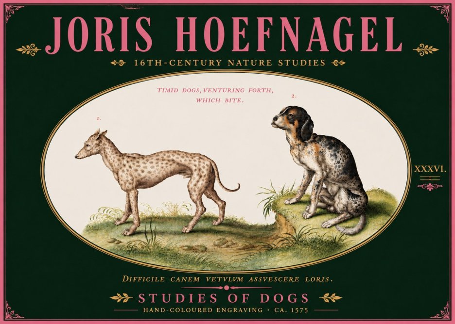 Joris Hoefnagel Studies of Dogs No6 - Póster