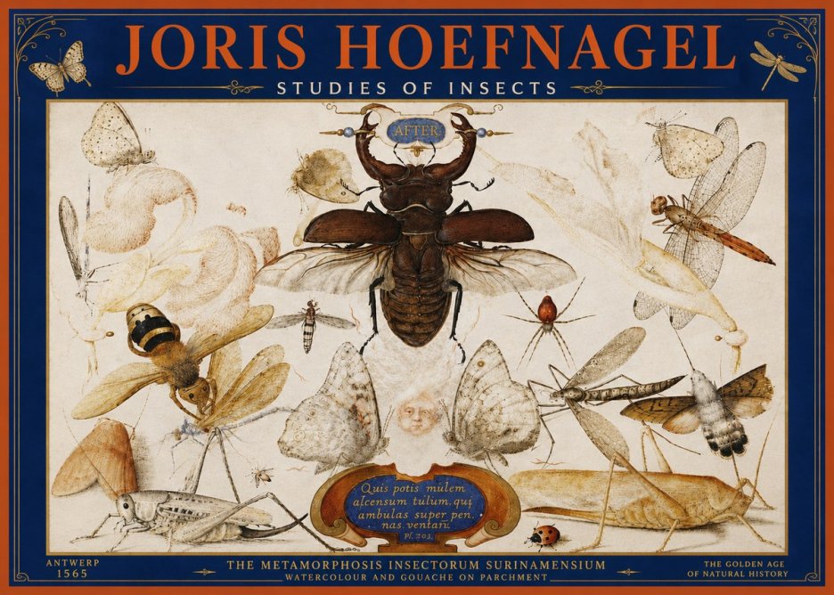 Joris Hoefnagel Studies of Insects I No4 - Póster