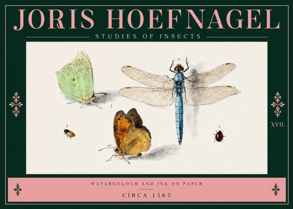 Joris Hoefnagel A Study of Butterflies, Dragonflies and Beetles No4 - Póster