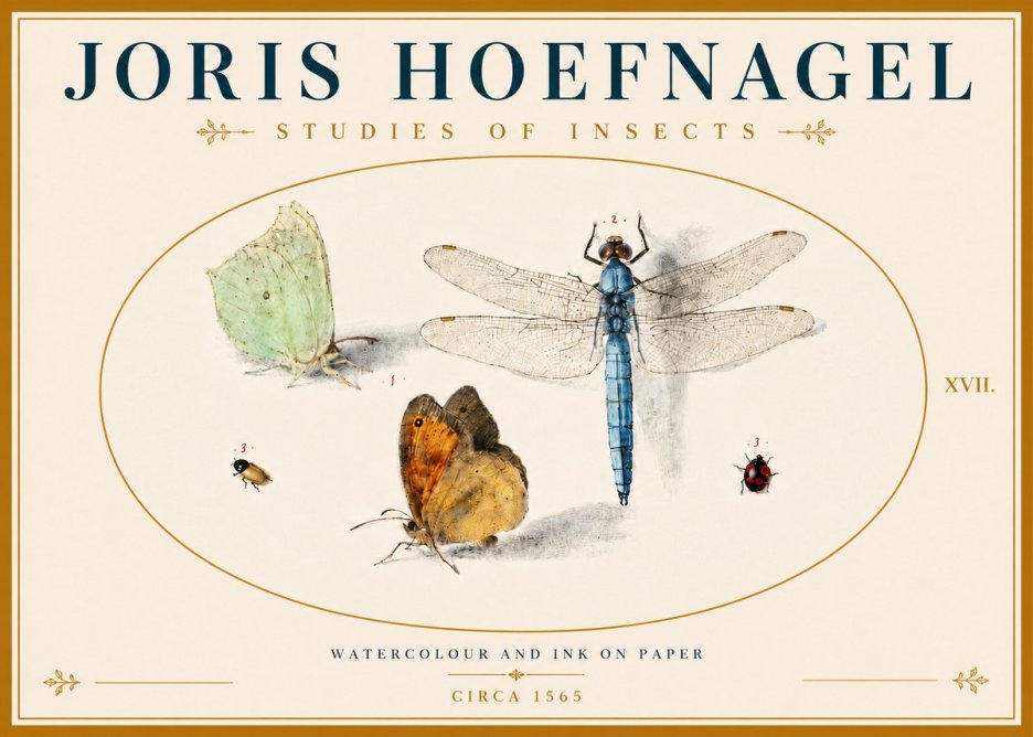 Joris Hoefnagel A Study of Butterflies, Dragonflies and Beetles No6 - Póster
