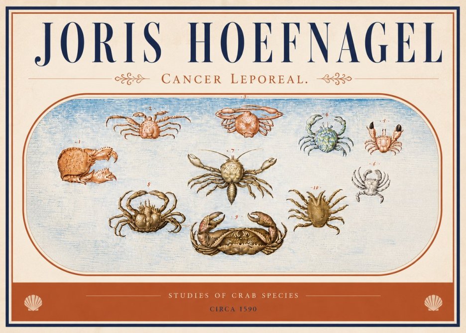 Joris Hoefnagel Cancer Leporeal. No4 - Póster