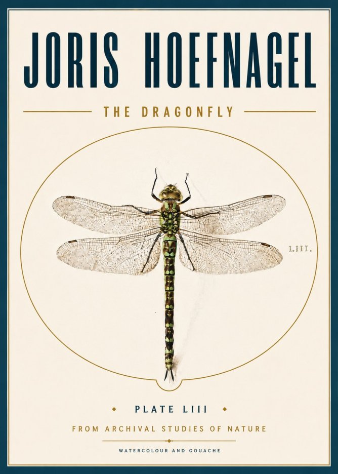 Joris Hoefnagel The Dragonfly No6 - Póster