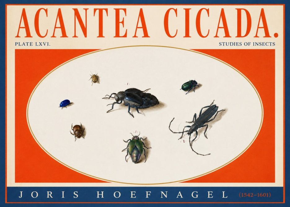 Joris Hoefnagel Acanthia Cicada No4 - Póster