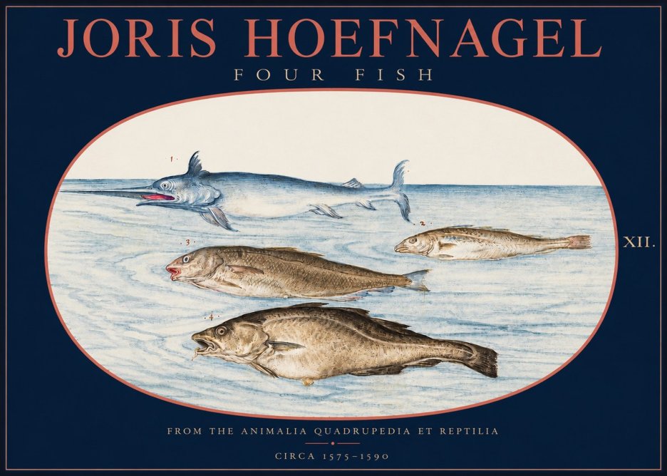 Joris Hoefnagel Four Fish No2 - Póster
