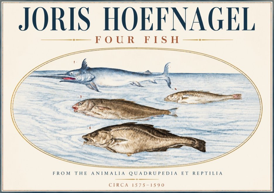 Joris Hoefnagel Four Fish No6 - Póster