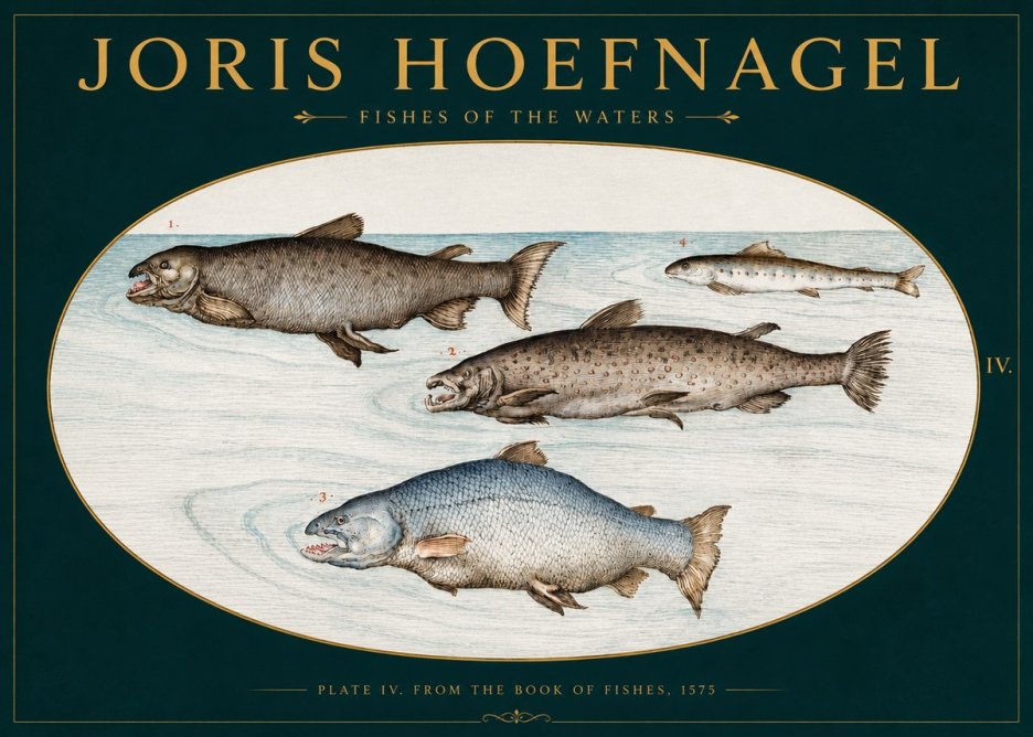 Joris Hoefnagel Fishes of the Waters I No3 - Póster