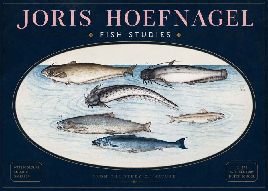Joris Hoefnagel Fish of the Waters No4 - Póster