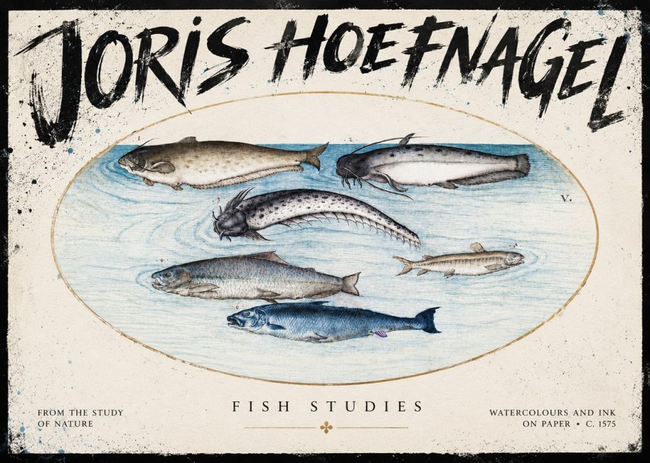Joris Hoefnagel Fish of the Waters No5 - Póster