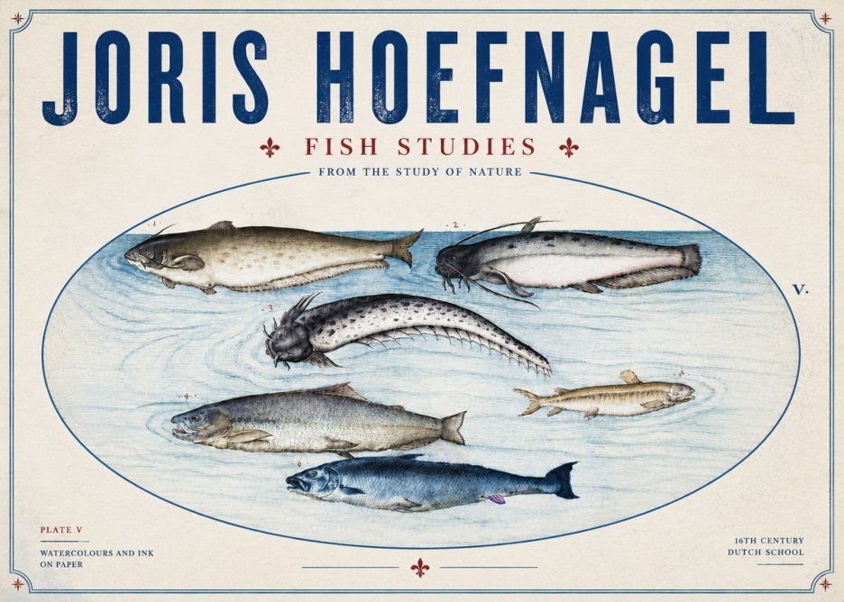 Joris Hoefnagel Fish of the Waters No6 - Póster