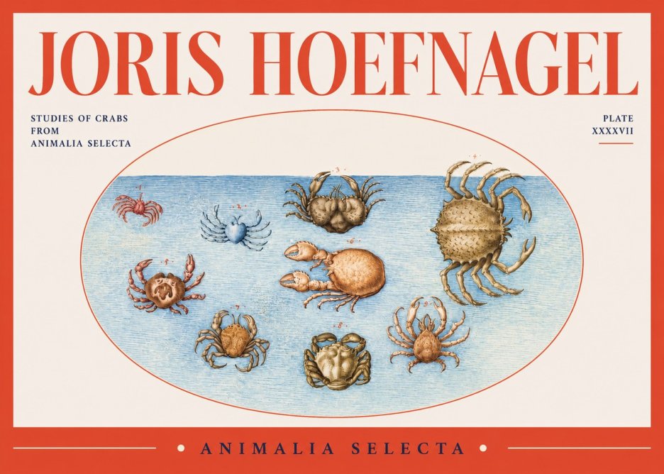 Joris Hoefnagel Studies of Crabs No2 - Póster