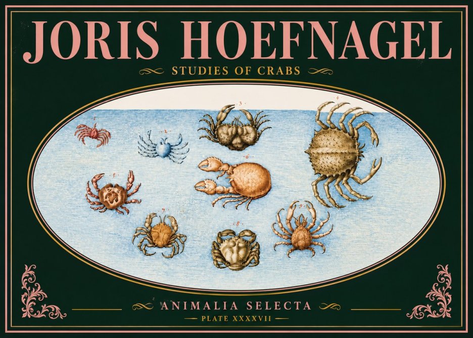 Joris Hoefnagel Studies of Crabs No5 - Póster