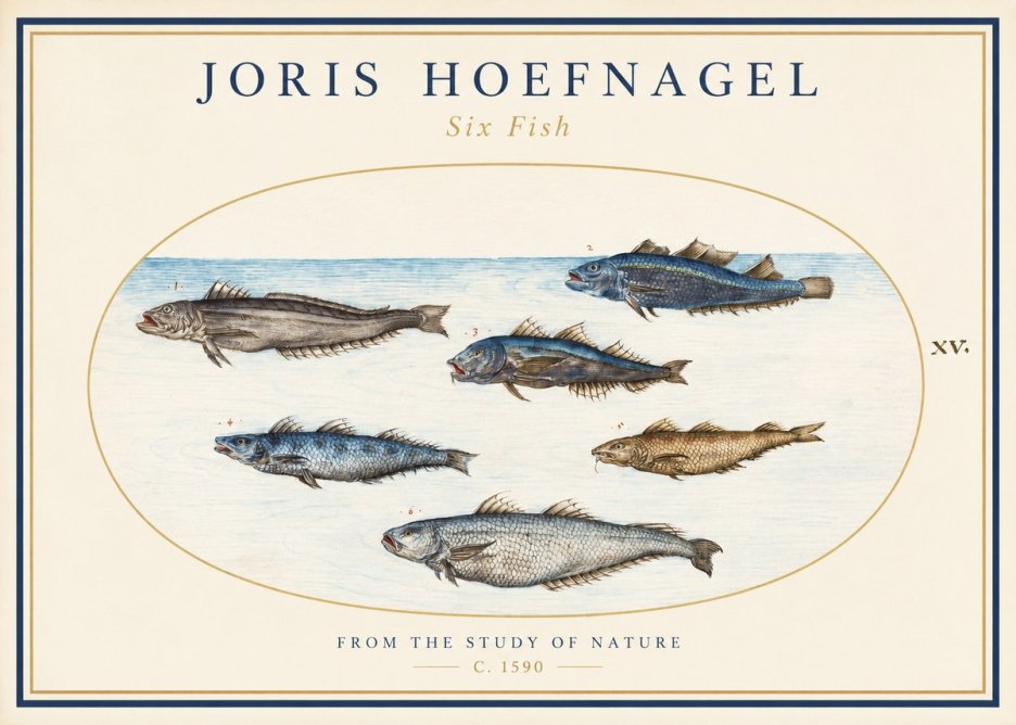 Joris Hoefnagel Six Fish No1 - Póster