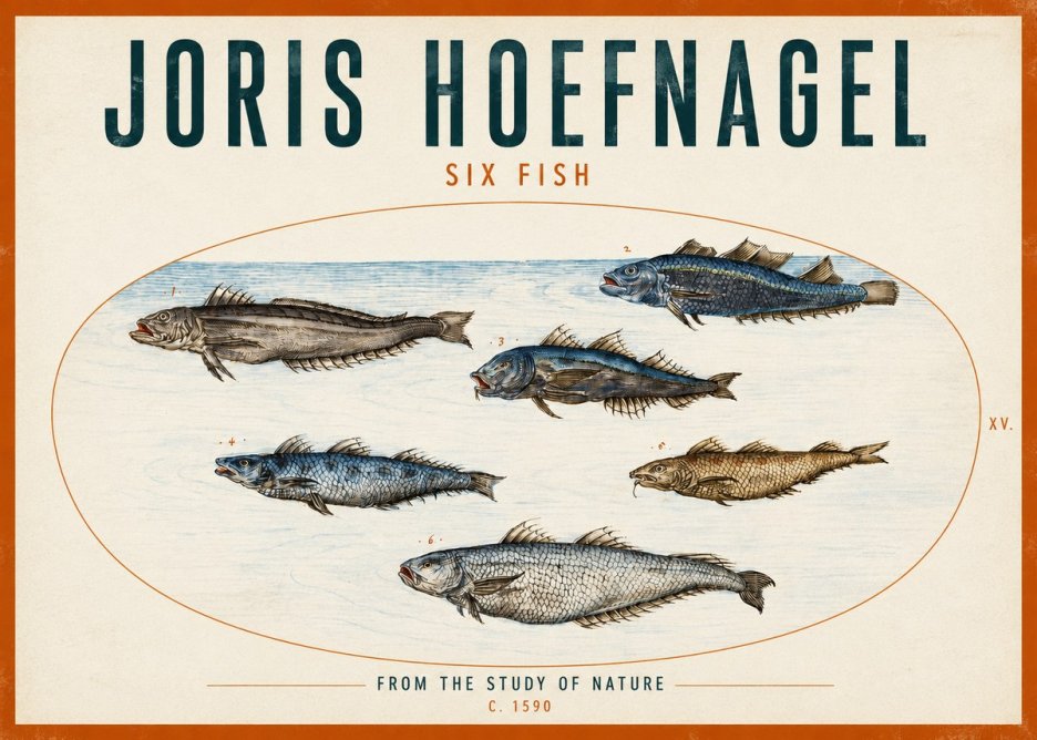 Joris Hoefnagel Six Fish No2 - Póster