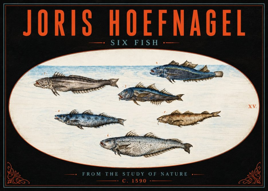 Joris Hoefnagel Six Fish No5 - Póster
