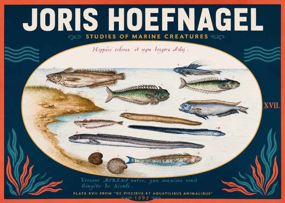 Joris Hoefnagel Plate Xvii from "De Piscibus Et Aquatilibus Animalibus" No2 - Póster
