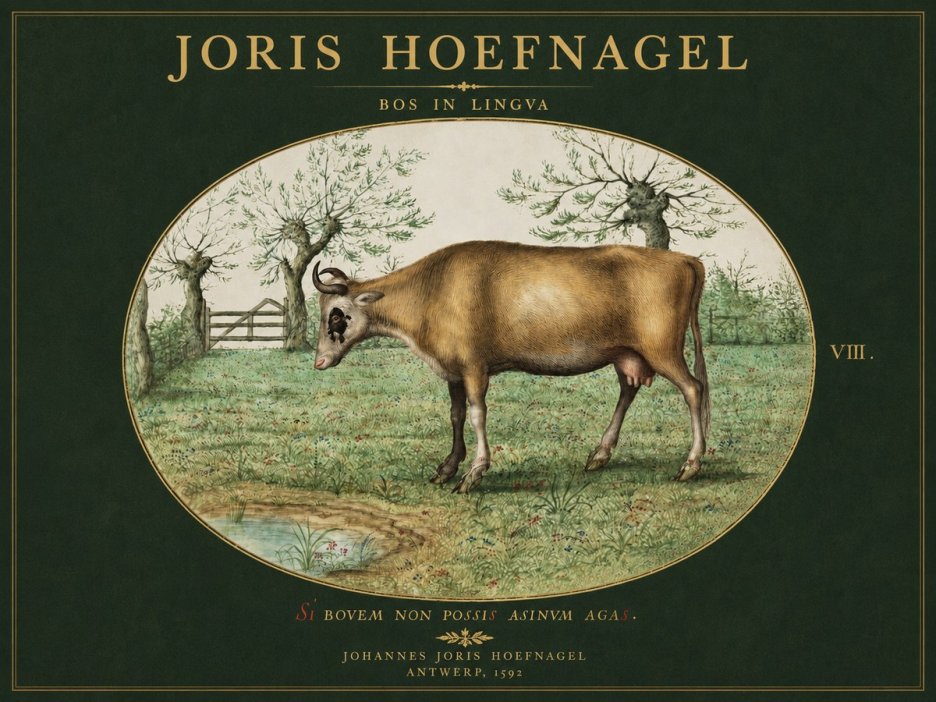 Joris Hoefnagel Bos in Lingva No3 - Póster