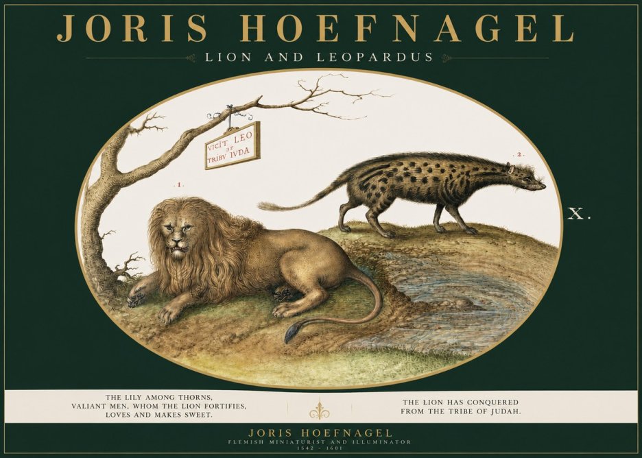 Joris Hoefnagel Lion and Spotted Hyena No3 - Póster