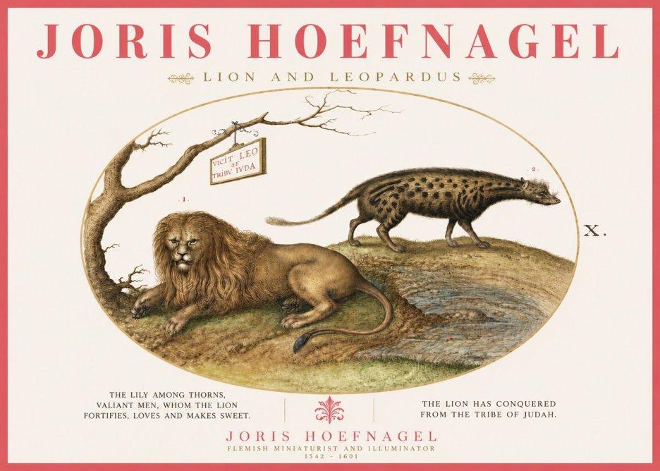 Joris Hoefnagel Lion and Spotted Hyena No6 - Póster
